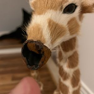 Decorative giraffes and picture frame